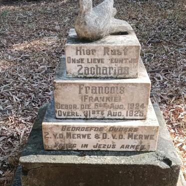 Mpumalanga, BETHAL district, Bethal, Beginsel 260, Single grave