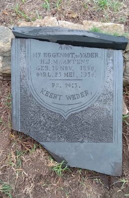 MAARTENS H.J. 1850-1930