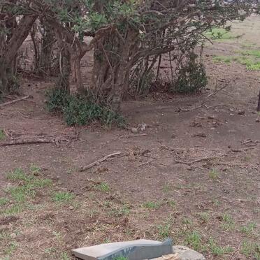 Mpumalanga, BETHAL district, De Krans van Blesbokspruit 305, farm cemetery _2