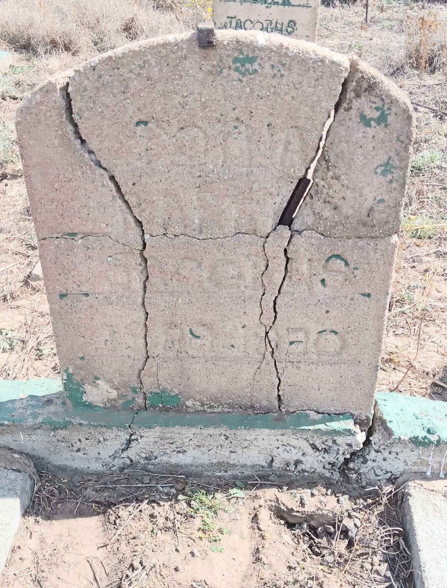 BOTHA Jacobus Barend 1929-1930