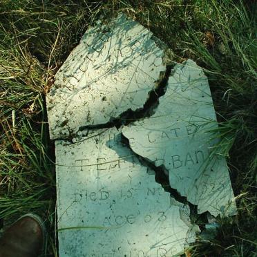 Hewlett-Packard