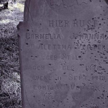 Mpumalanga, BETHAL district, Roodekrans 457 IS, farm cemetery