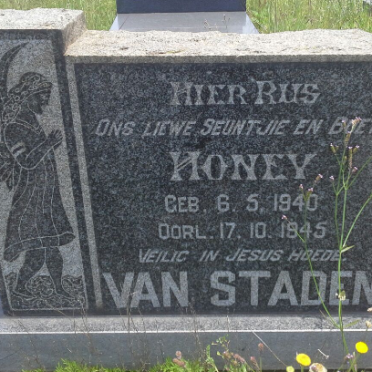 STADEN Honey, van 1940-1945