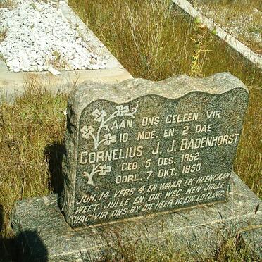 BADENHORST Cornelius J.J. 1953-1953