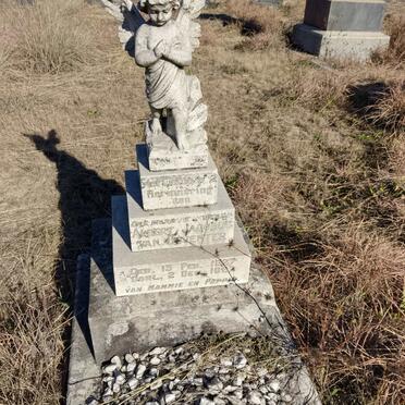 D - Surnames beginning with - D