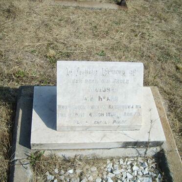 HEARD Tambusa A.H. -1915