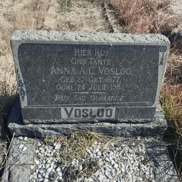 VOSLOO Anna A.C. 1877-195?
