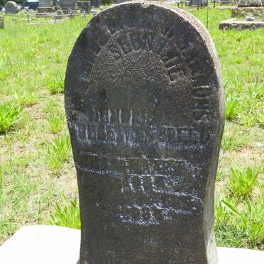 BREED Hendrik Jesewes -19?5