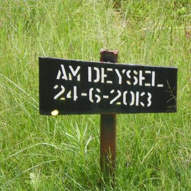 DEYSEL A.M. -2013