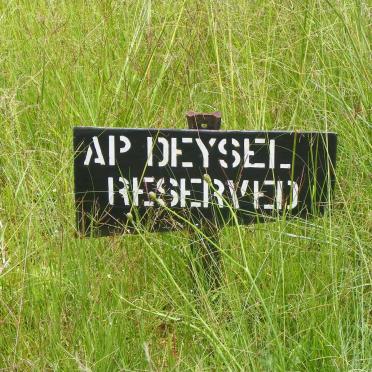 DEYSEL A.P.