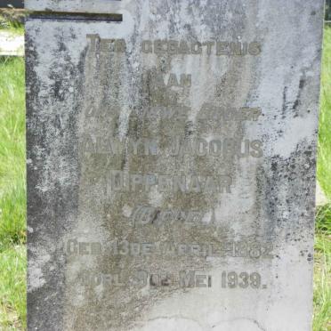 DIPPENAAR Alwyn Jacobus 1882-1939