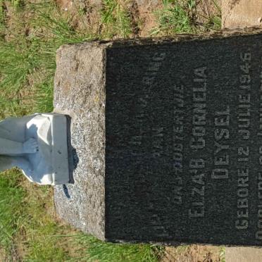 DEYSEL Elza'b Cornelia 194?-1949