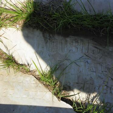 DIPPENAAR Jacobus 1856-1906