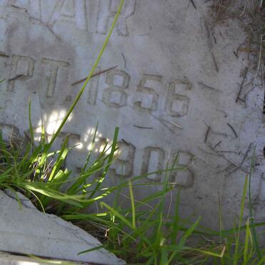 DIPPENAAR Jacobus 1856-1906