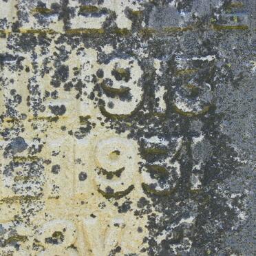 HEERDEN Rulof J., v. 1913-1931