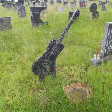 MERWE Mac, van der 1949-1999