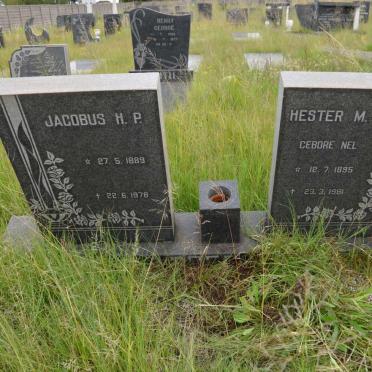 ? Jacobus H.P. 1889-1978 &amp; Hester M.M.J. NEL 1895-1981