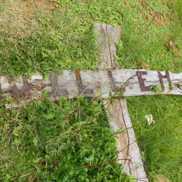 ? Willem