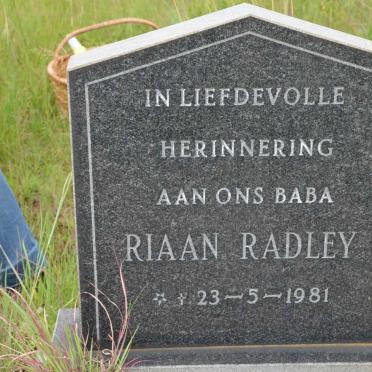 RADLEY Riaan 1981-1981