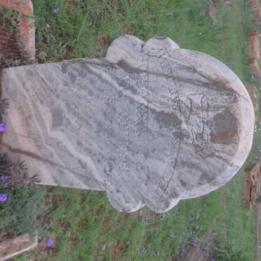 COLLER Johanna C.E.S., van nee ENGELBRECHT 1864-1931