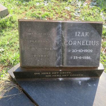 HOLTZHAUSEN Izak Cornelius 1909-1986 _2