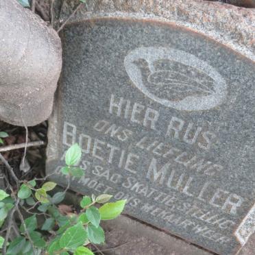 MULLER Boetie
