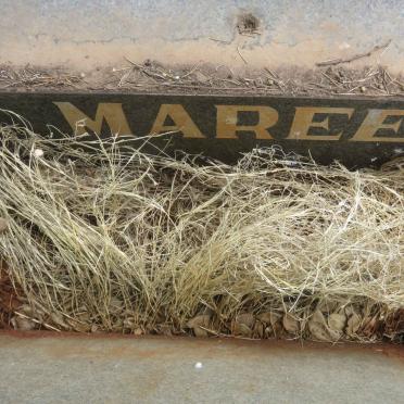 MAREE