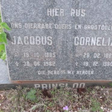 PRINSLOO Jacobus 1885-1962 &amp; Cornelia 1889-1960