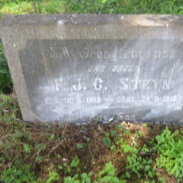 STEYN F.J.C. 1919-1919