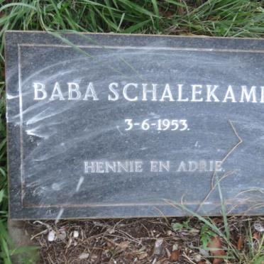 SCHALEKAMP 1953-1953