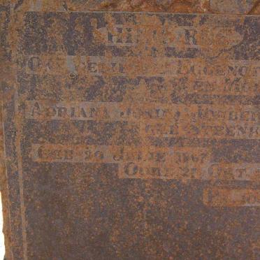 JOUBERT Adriana Josina nee STEENKAMP 1867-1936