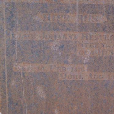 STEENKAMP Elsie Johanna Hester  nee HUMAN 1876-1905
