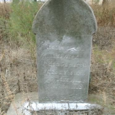 VENTER Aletta Sophia nee DU PLESSIS 1868-1951