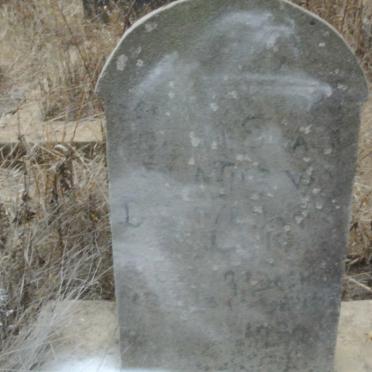 DYK David Schalk, van 1929-1930
