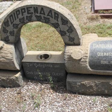 DIPPENAAR Carolina Fredrika geb KOTZE 1896-1973