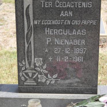 NIENABER Herculaas P. 1897-1961