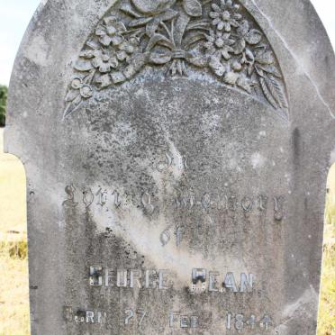 BEAN George 1844-1914