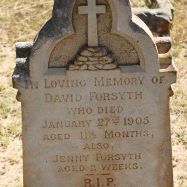 FORSYTH David -1905 :: FORSYTH Jenny