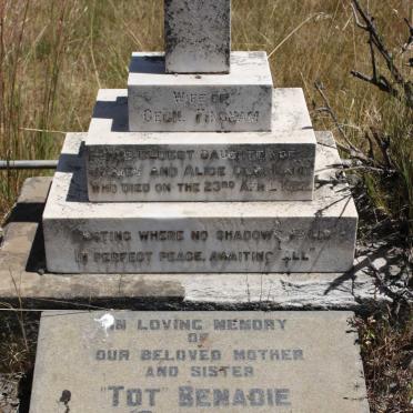 FINCHAM -1922 :: BENADIE Tot nee GOSSLAND 1901-19?9