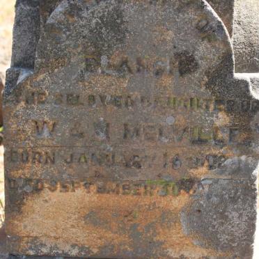 MELVILLE Blanch