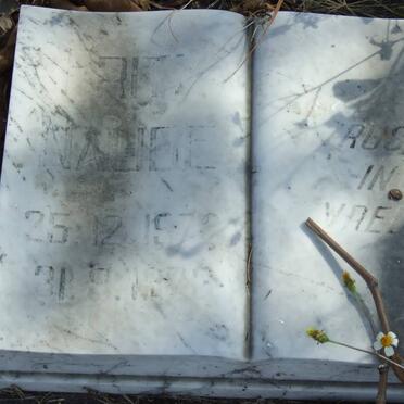 NAUDE Fritz 1972-1973