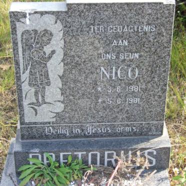 PRETORIUS Nico 1981-1981