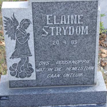 STRYDOM Elaine 1985-1985