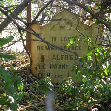 KOLL Alfred