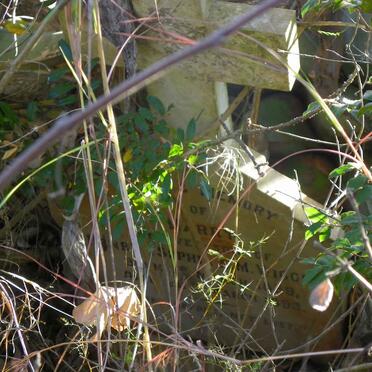 WIGGENS Harry 1889-1893