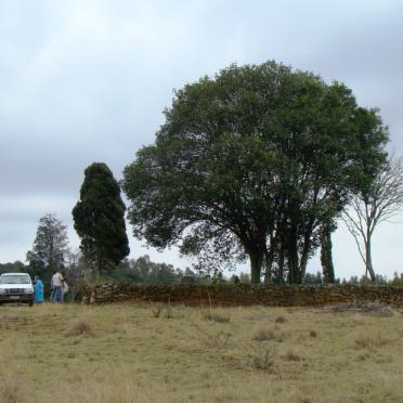 Mpumalanga, ERMELO district, Amsterdam, Kliprug 281 IT farm cemetery