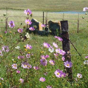 Mpumalanga, ERMELO district, Morgenster 204, farm cemetery