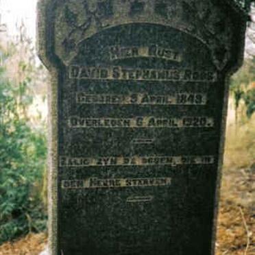 ROOS David Stephanus 1849-1920