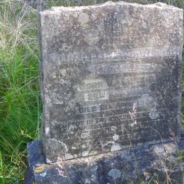 SCHWEIZER Sarah Eliza nee McLUCKIE 1869-1923