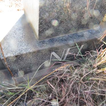 N - Vanne :: Surnames - N